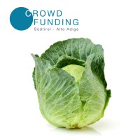 Crowdfunding Südtirol - Alto Adige logo - Similar company to Title3Funds