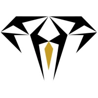 Diamond Exteriors Ltd logo - Similar company to Edgecombe Builders