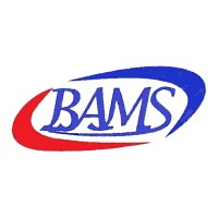 Kantor Akuntan Publik Bharata, Arifin, Mumajad dan Sayuti logo - Similar company to Multiintegra