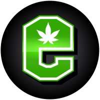 BuzzWeed logo - Similar company to Startuphelpr