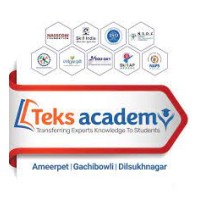 teks acadamy  Digitel marketing logo - Similar company to Teks Academy