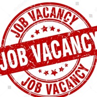 Freshers Graduate Jobs and Vacancies logo - Similar company to Naukrify Hiring Solutions