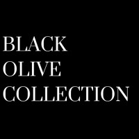 Black Olive Collection logo - Similar company to Destinations + More