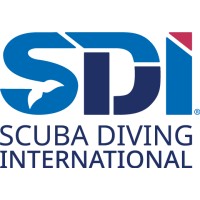 SDI | TDI logo - Similar company to Portugal Dive
