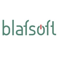 Blafsoft Consulting logo - Similar company to Fixigo