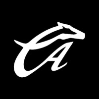 CaliAlfa logo - Similar company to Bizzdesign