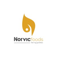 Norvic Foods logo - Similar company to Khaleejdubai