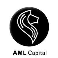 AML Capital Oy logo - Similar company to Aml Sustainability