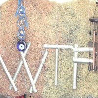 WTF Clothing Rentals logo - Similar company to Colormode - India