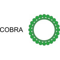 Cobra Technologies Ceramic Discs logo - Similar company to Cobra Technologies