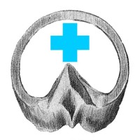 Pannon Equine Rehab and Healthcare Service logo - Similar company to Equicantis
