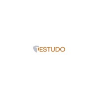 Testudo s.r.l logo - Similar company to Nemesis Solutions Ag