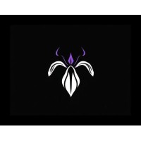 BLACK IRIS logo - Similar company to Meetsmeta
