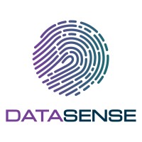 Datasense logo - Similar company to Streamline It Solutions Ltd