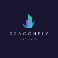 Dragonfly Projects logo - Similar company to Mireille Ltd.