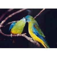 SMART Sixty Six BV logo - Similar company to Smart Group