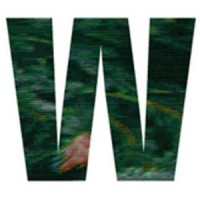 WEARECREATORS.AMSTERDAM logo - Similar company to Not Done.