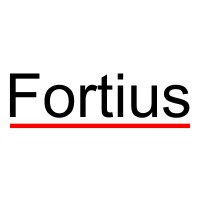 Fortius Electromecanica SA de CV logo - Similar company to Geic