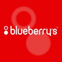 Blueberry's GCC logo - Similar company to Next Power Electronics L.L.C