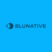 BLUNATIVE CORP. logo - Similar company to Aphelion Digital Corp