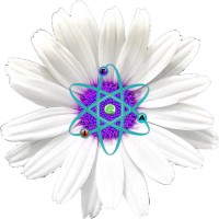 E-Formulate Inc