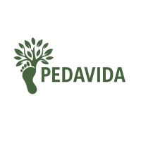 Pedavida logo - Similar company to Akademie Für Transformationsdesign