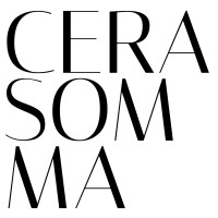 CERASOMMA logo - Similar company to Fakerface