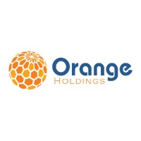 Orange Holdings logo - Similar company to Digimaster Technologies
