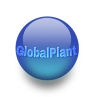 Viveros GlobalPlant logo - Similar company to Viveros Medipalm