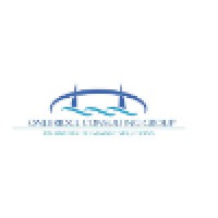 OneBridge Consulting Group logo - Similar company to Tgg