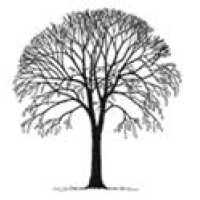 Elmhall Millworks Inc. logo - Similar company to All Systems Grow