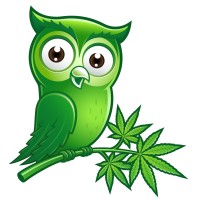 Bubo Technologies, LLC logo - Similar company to Budbo