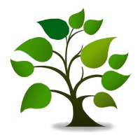 Tcg Medical Services Limited