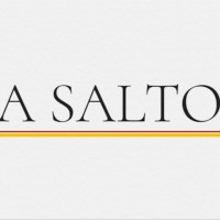 Revista A Salto logo - Similar company to Ponte