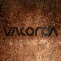 Sichuan Vacorda Instruments Manufacturing Co., Ltd logo - Similar company to Anxq Vision Technology Kft.