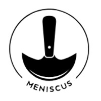 Meniscus Enterprises Ltd
