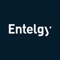 Entelgy Brasil logo - Similar company to Entelgy