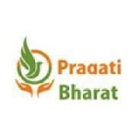 Pragati bharat logo - Similar company to Pragati Path Foundation