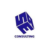 SAE Consulting logo - Similar company to Input Finance