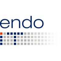 endo IT logo - Similar company to Endo It