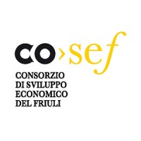 COSEF - Consorzio di Sviluppo Economico del Friuli logo - Similar company to Ferest Shipping Srl