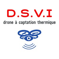 DRONE D.S.V.I logo - Similar company to Eridrone