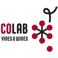 CoLAB VINES&WINES logo - Similar company to More Colab - Laboratório Colaborativo Montanhas De Investigação