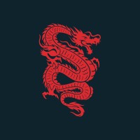 Dragon Venture Capital logo - Similar company to Marcaê Desenvolvimento De Programas Ltda