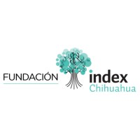 Fundación Index Chihuahua logo - Similar company to Instituto Bilingüe México Moderno