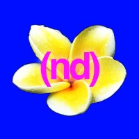 ND® logo - Similar company to Izibrizi