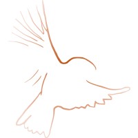 Firecrest logo - Similar company to Quantum Education Limited