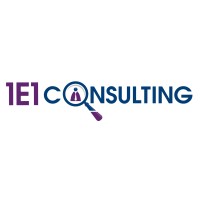 1E1 Consulting logo - Similar company to Tec & Solutions