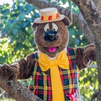 Humphrey B. Bear Entertainment Pty Ltd logo - Similar company to Weareduenas