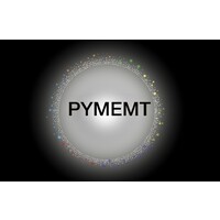 PYMEMT logo - Similar company to Trm Partners